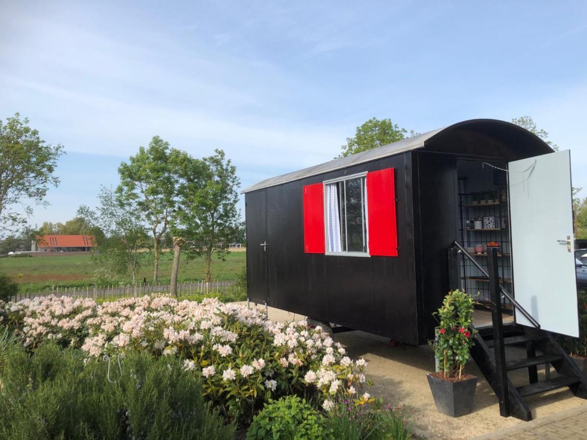 Chalet Royal Broek 외부 사진